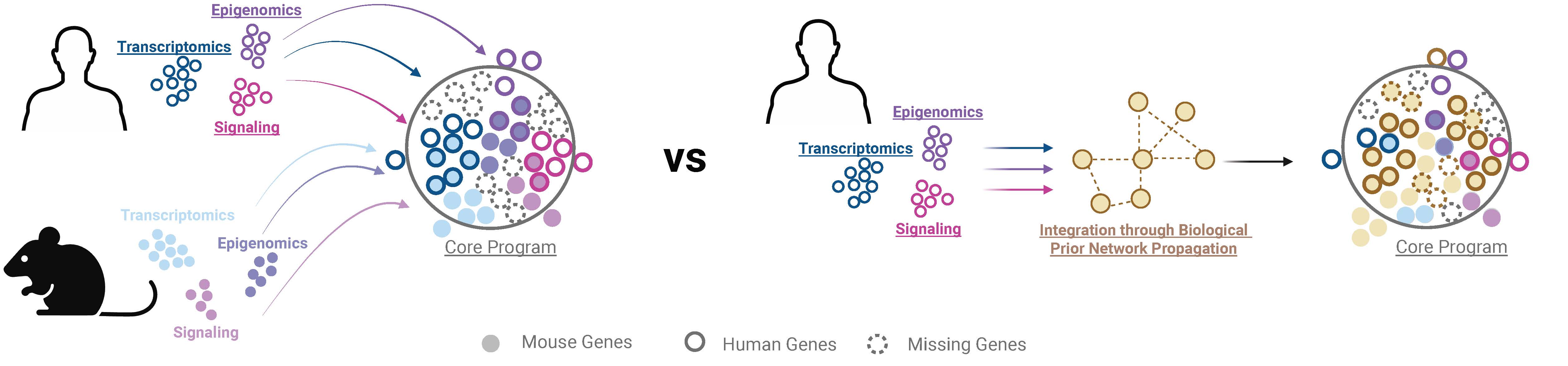 Schematic depicting how individual analyses of data may only capture specific "slices" of data, leading to fragmented understanding of immune responses, whereas network-based approaches can integrate these views to identify a core program underlying immune responses