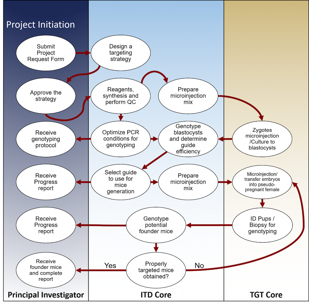 "Workflow Visualization"